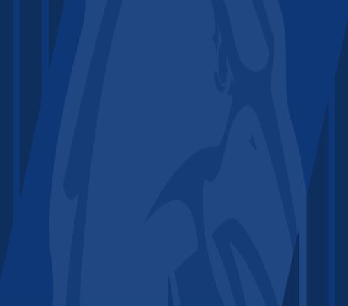 国足归化进,版迎战塞尔,吉尼奥,2026世界杯,世界杯赛程,参赛球队,举办城市,赛事更新