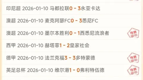 大乐透期号专家推荐分析：瓦萨主场底气透视